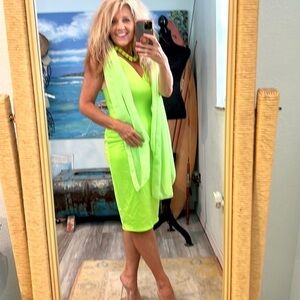 💚Want My Look, Fun, Funky and Fabulous, Live Life in Color, Stretch BodyCon, L